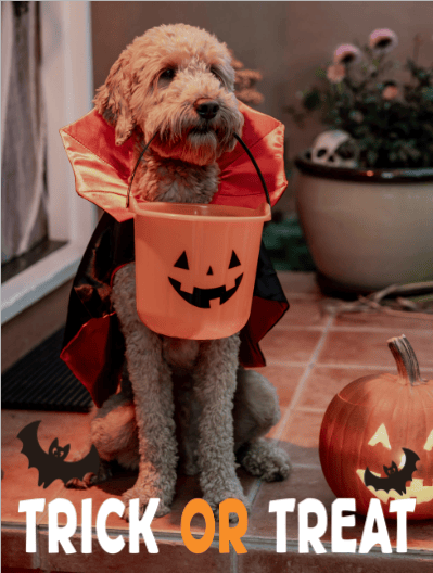 2025 halloween frame 02