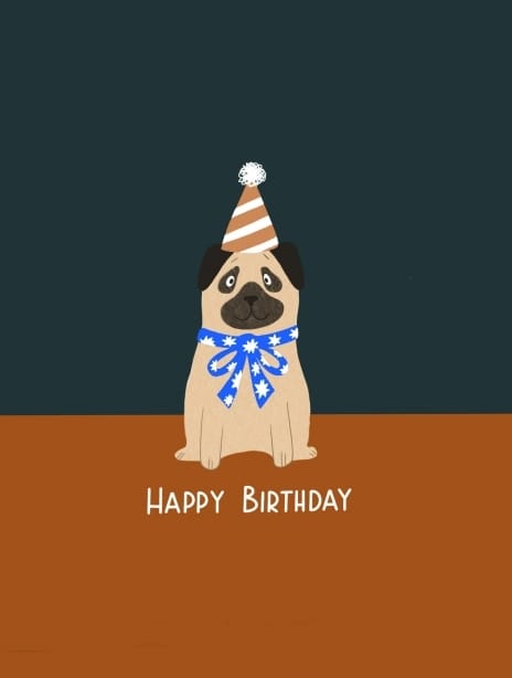 2022 birthday kaytrain dog5