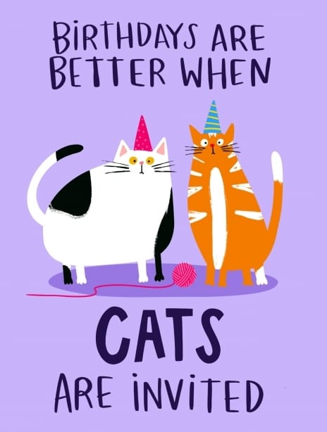 2025 birthday lucymaggiedesigns cat