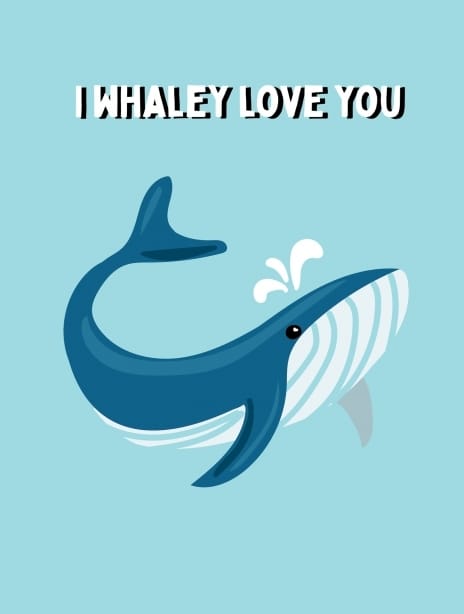 2025 anniversary lauralonsdale whale