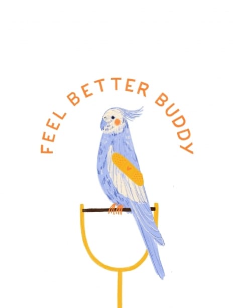2021 getwellsoon bird