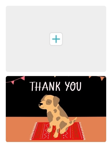 2021 thankyou kaytrain dog6