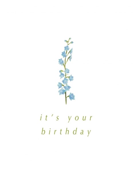 2023 birthday abby flowers
