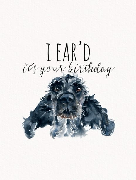2021 birthday joscott spaniel1