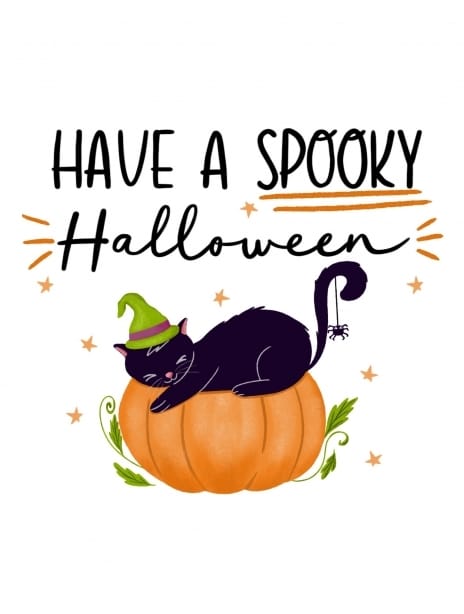 2023 halloween lorimalkhassian cat1