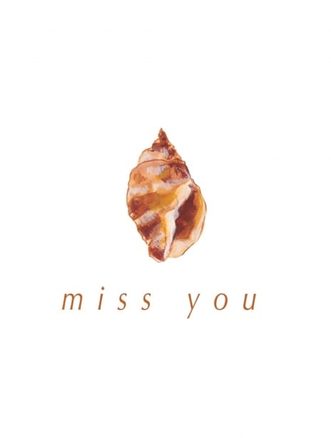 2023 missyou abby seashell