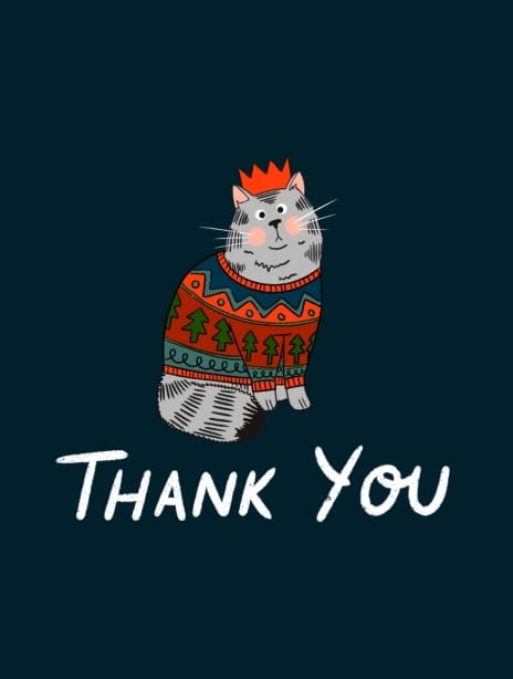 2023 thankyou kaytrain cat