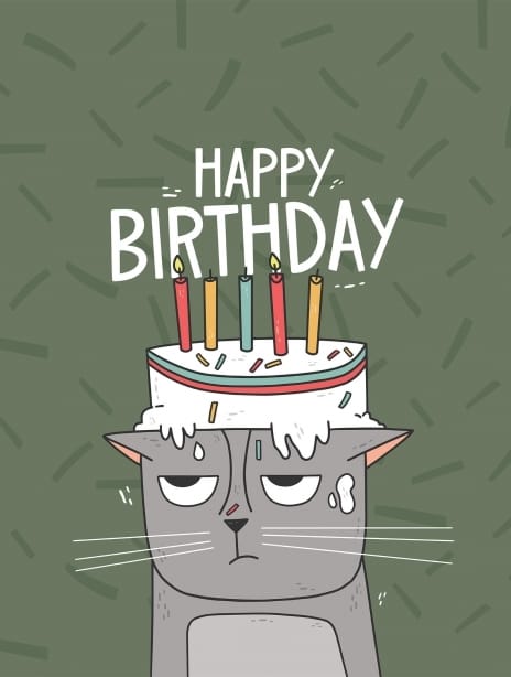 2022 birthday mayalaurent cat