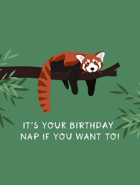 2022 birthday beckywood panda