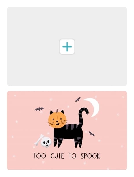 2022 halloween chloeevans cat