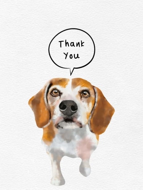 2021 thankyou joscott thankyoudog