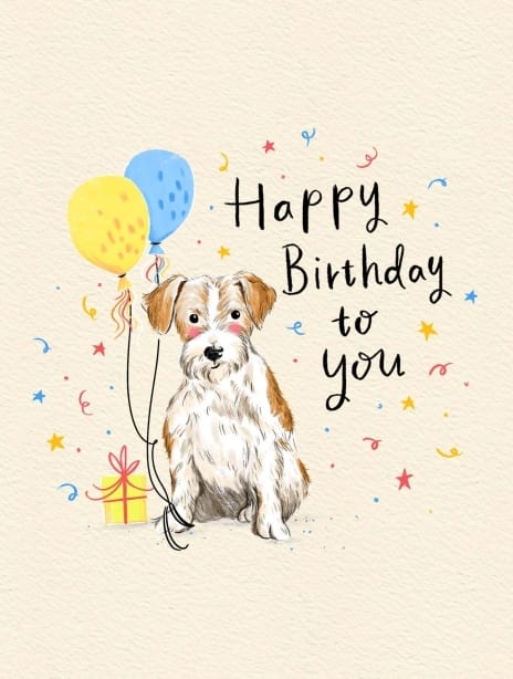 2024 birthday siya dog2
