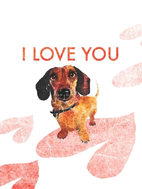 2022 valentine joscott dog2