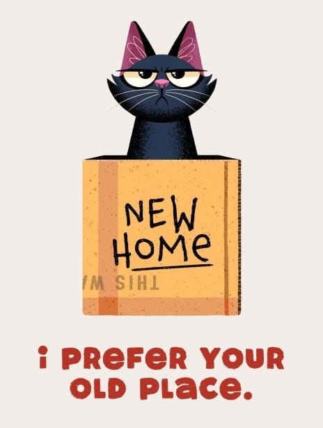copy of 2025 newhome ianowen missyou car