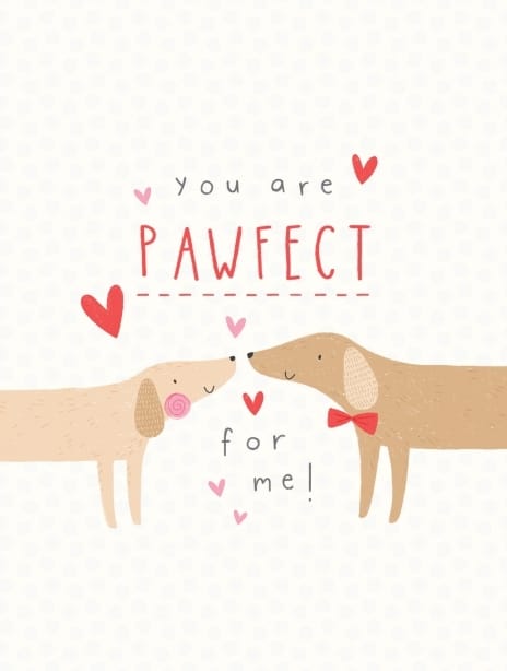 2024 valentine sorcha dogs