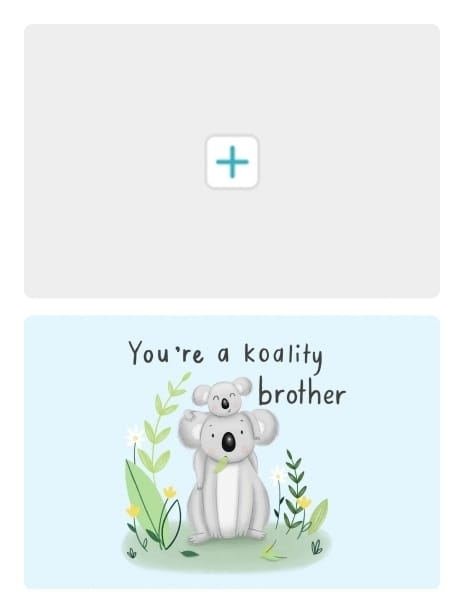 2022 relationship chloe koala brother