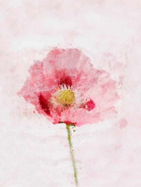 2022 pattern justinahkay poppy