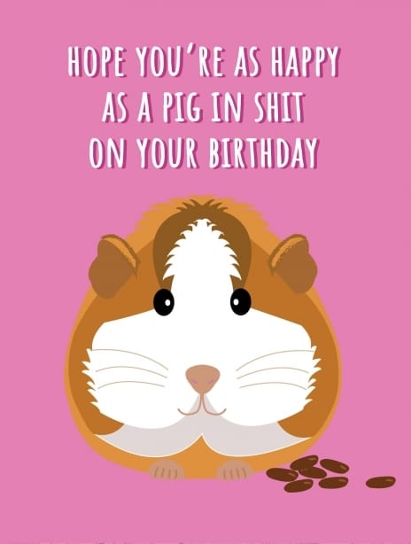 2025 birthday lauralonsdale pig