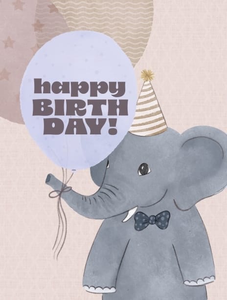 2024 birthday jenna elephant
