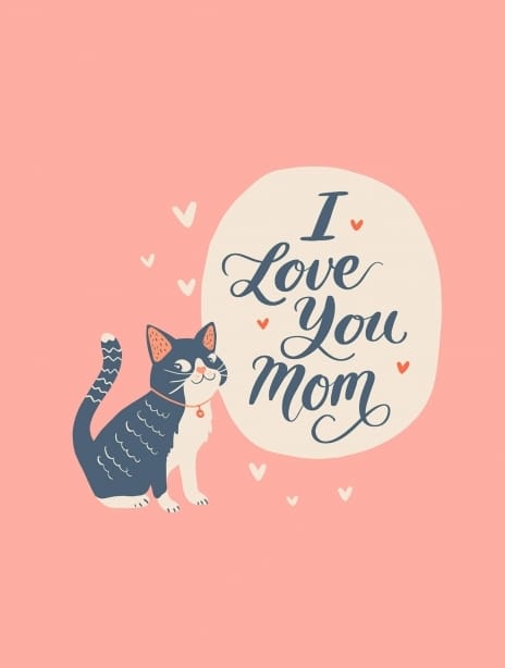 mother's day no 527