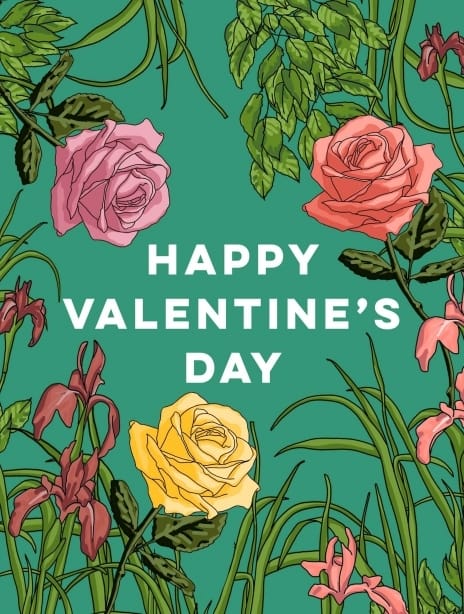 2022 valentine clairehuntley roses