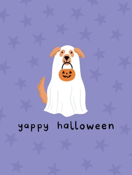 2024 halloween sorcha ghost