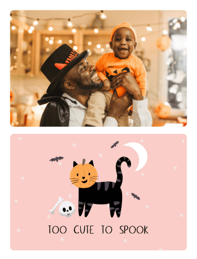 2022 halloween chloeevans cat