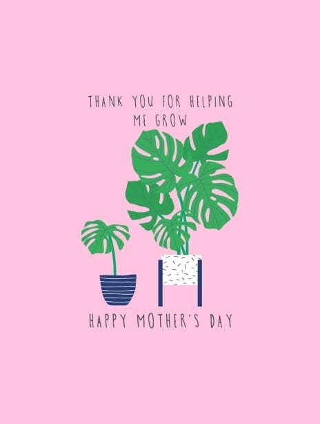 2022 mothersday jessicaeyre plants