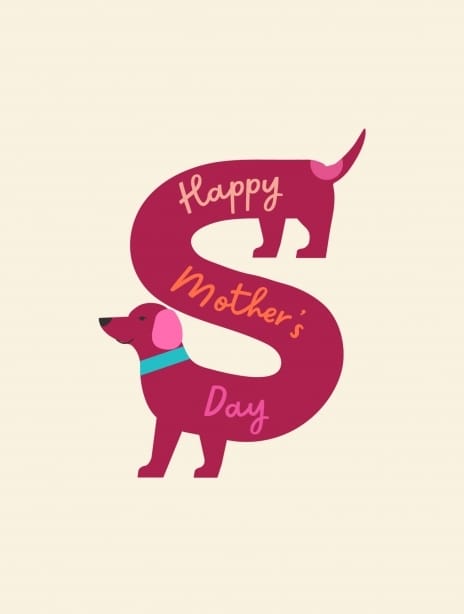 2021 mothersday wienerdog b&c tobediscussed