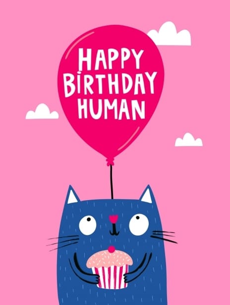 2025 birthday lucymaggiedesigns cat2