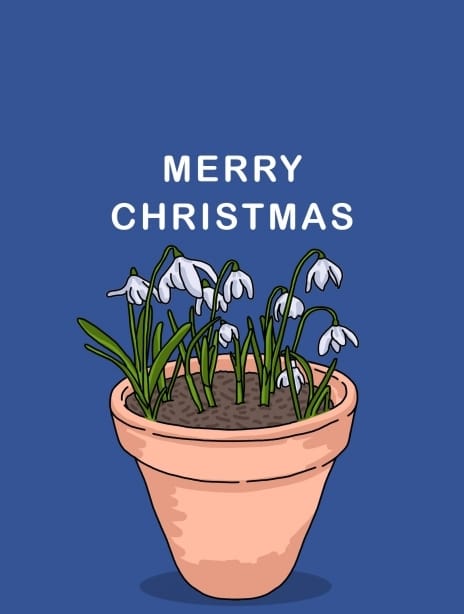 2021 christmas flowerspot2