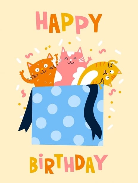2025 birthday lucymaggiedesigns cat6
