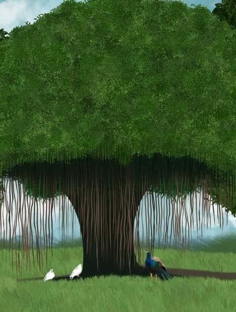 treeplanting 6