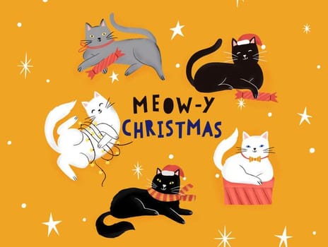 2023 christmas siya cats