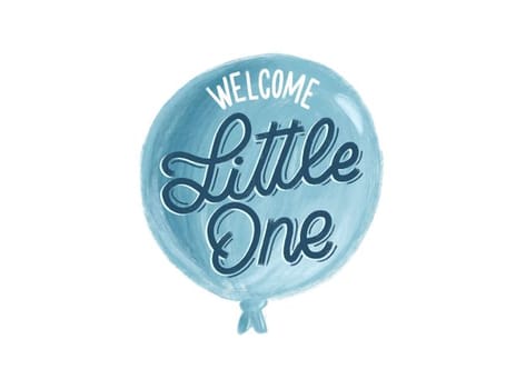 2022 newbaby dianemir littleone1