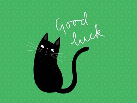 2023 goodluck sorcha cat