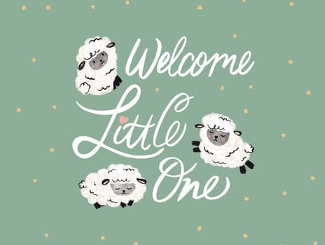 2024 newbaby jenna sheep