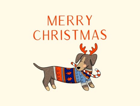 2024 christmas kaytrain pet2