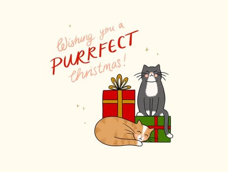 2024 christmas kaytrain cat