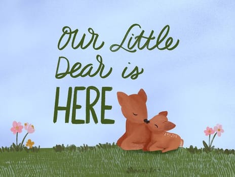 2024 newbaby jenna deer