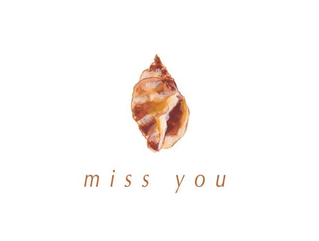 2023 missyou abby seashell