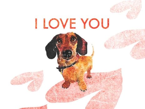 2022 valentine joscott dog2