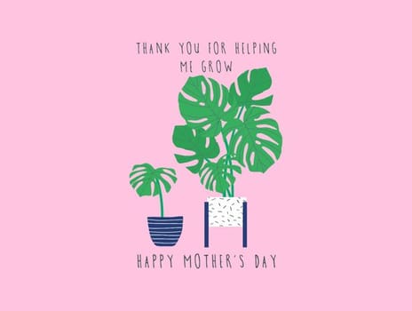 2022 mothersday jessicaeyre plants