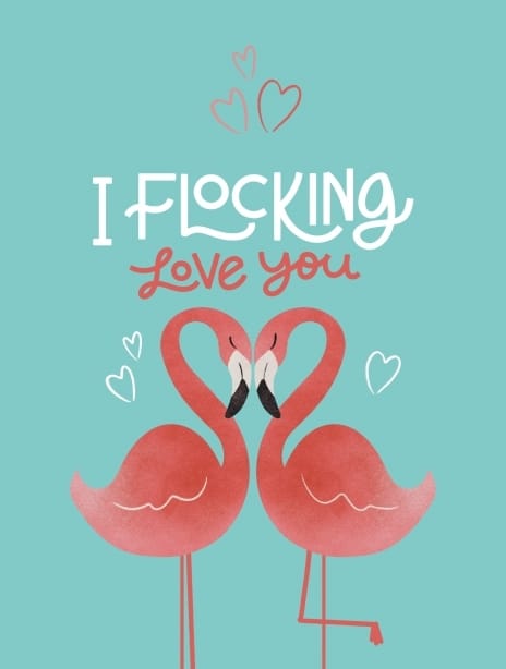 2024 valentines jenna flamingoes