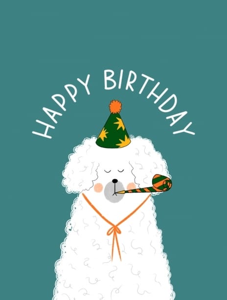 birthday card dog funny