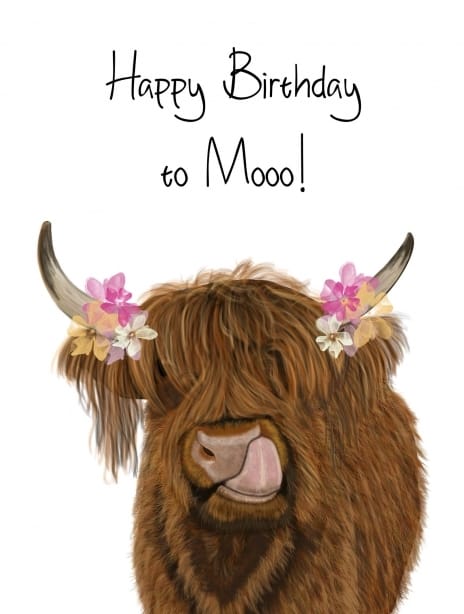 2025 birthday anna moo