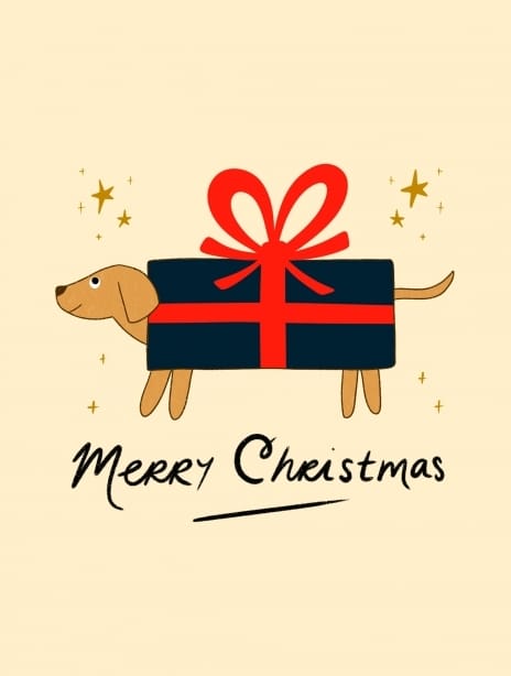 2023 christmas kaytrain dog1