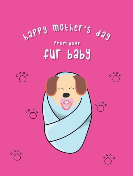 2025 mother'sday lauralonsdale dog
