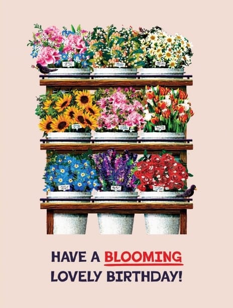 2025 birthday ianowen flowerstand