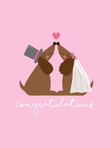 2021 wedding michellegemmel dogs